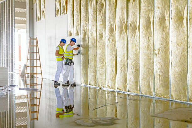 Best Residential Insulation in Lumberton, MS